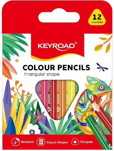 Pastelli triangolari mezzi Keyroad, 12 colori