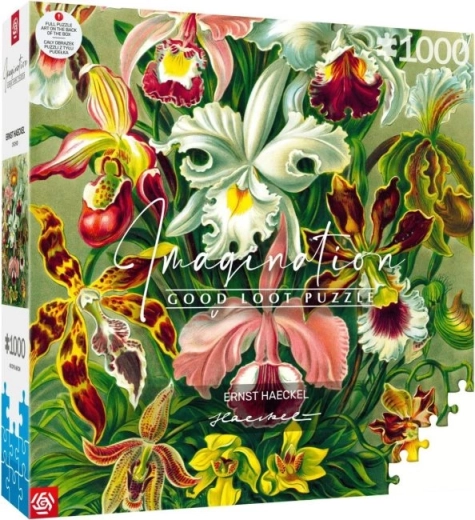 puzzle imagination: ernst haeckel – orchidea 1000 pezzi