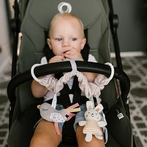 Fissaggio universale per passeggino, lettino e seggiolino auto