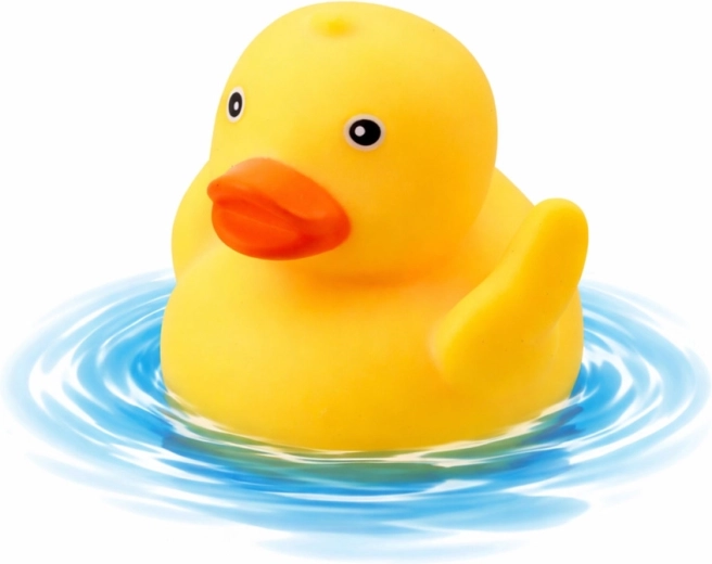 Paperella galleggiante per la gioia del bagnetto