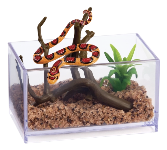 Mini terrario con dettagli realistici