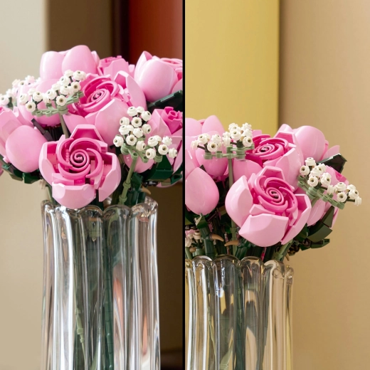 Rose in diverse fasi di fioritura