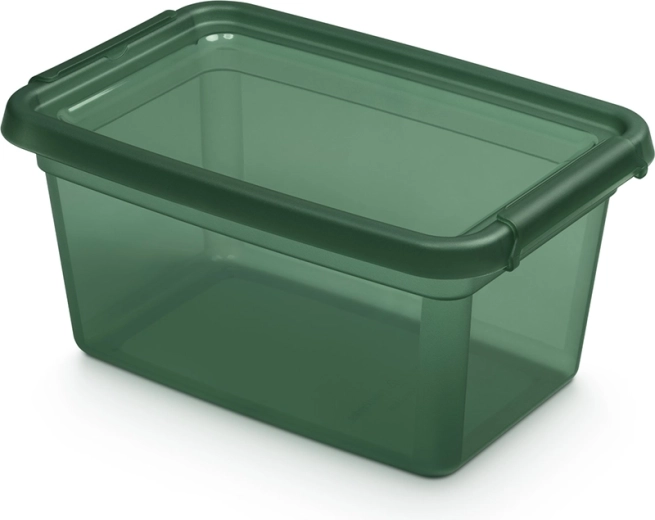 Box contenitore Basestore con coperchio e clip PINE 4,5 l