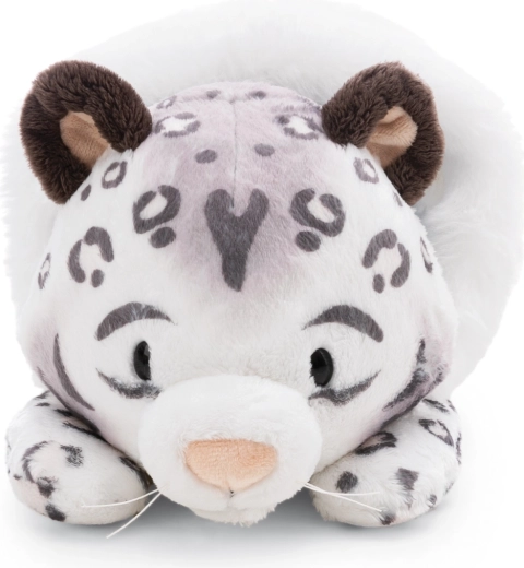 Scelta sostenibile in RPET