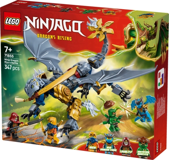 Costruzione e gioco nel mondo NINJAGO