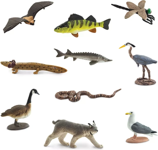 10 miniature di animali dall’area dei Grandi Laghi