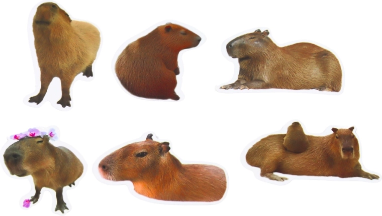 Formato più grande 6–7 cm per decorazioni d