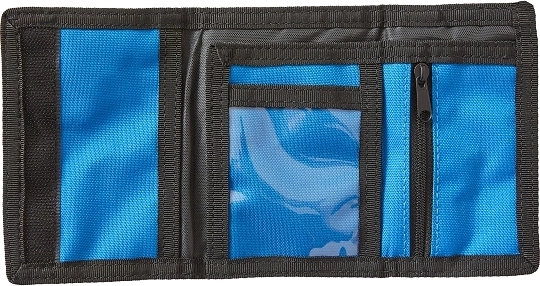 Organizzazione chiara di contanti e carte