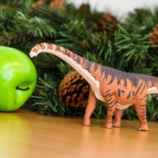 Ottima per la natura, la scuola e la collezione