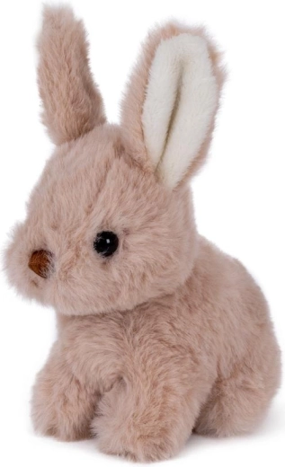 Aspetto adorabile del coniglietto