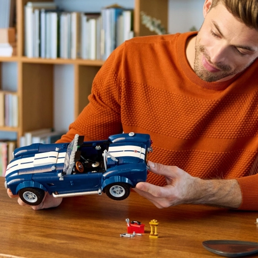 Costruisci, esponi e ammira