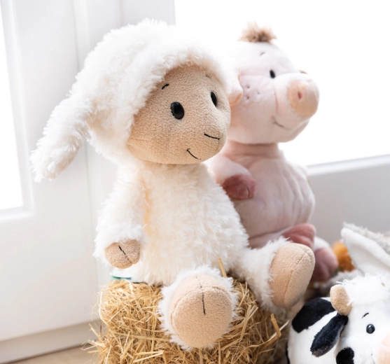 Collezione sostenibile NICI Green (RPET)