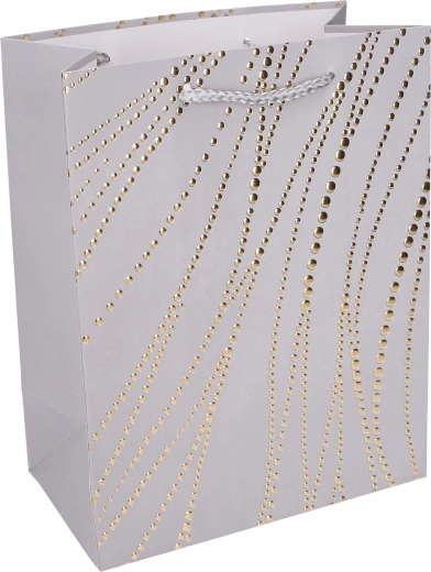 Elegante design lucido con accenti metallici