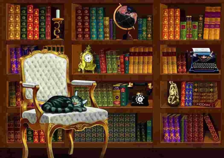 Puzzle Vintage biblioteca 1000 pezzi