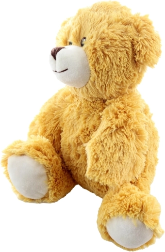 Dimensione ideale 22 cm