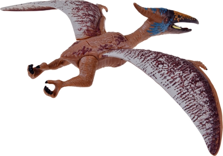 Set variegato per storie infinite