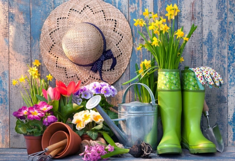 Puzzle Pronti per il giardinaggio 1000 pezzi BLUEBIRD