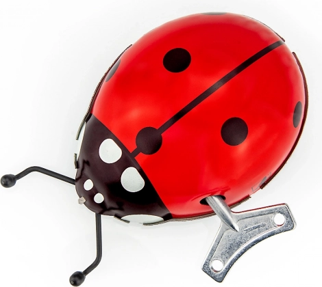 Coccinella a carica con chiavetta