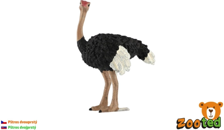 Figura di struzzo comune alta 11 cm