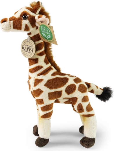 Rispetto per la natura