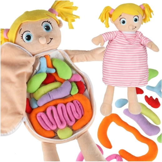 Bambola anatomica in peluche Montessori per bambini