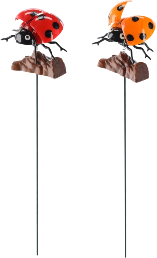 Decorazione per giardino e vasi