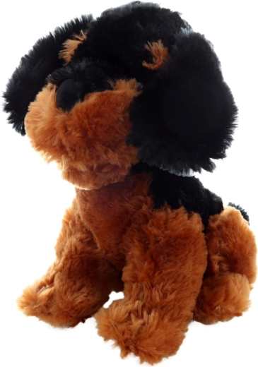 Dimensione ideale 30 cm