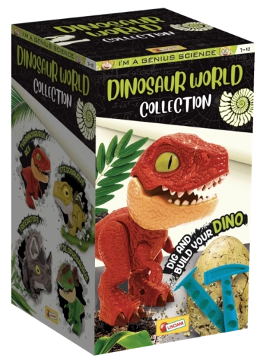 Collezione di 4 dinosauri da assemblare