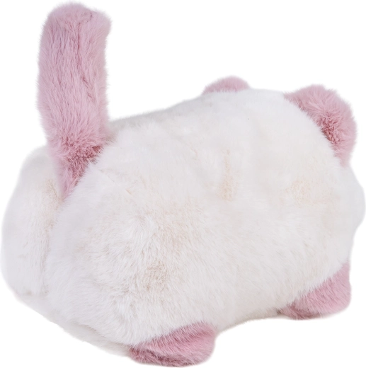 Registrazione e riproduzione della voce