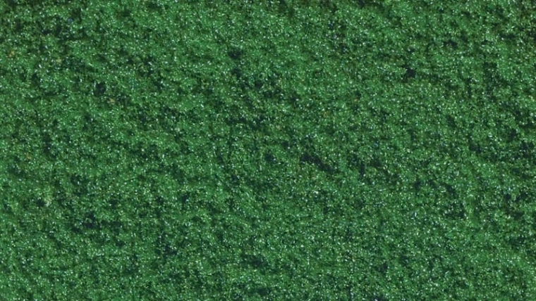 Noch Profi fiocchi di spugna PROFI Flock verde medio