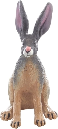 Dimensioni ideali per la collezione e in viaggio