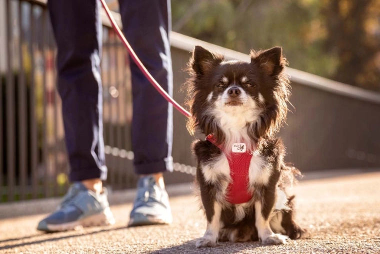 Air-Mesh traspirante con effetto rinfrescante