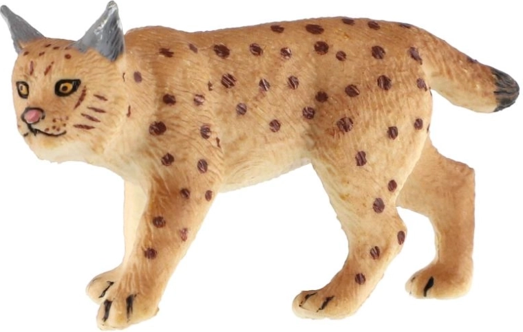 Caratteristiche tipiche della lince