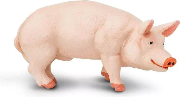 Figurina di maialino (maiale domestico) Safari Ltd.