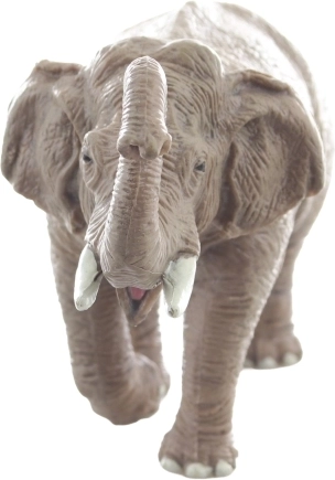 Dimensioni ideali per le mani dei bambini