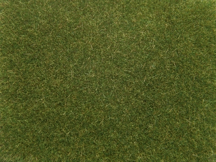 Erba statica NOCH verde chiaro 4 mm