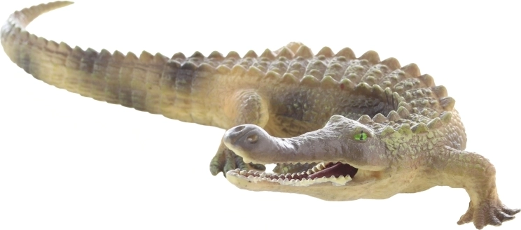 Dimensione ideale per la mano dei bambini