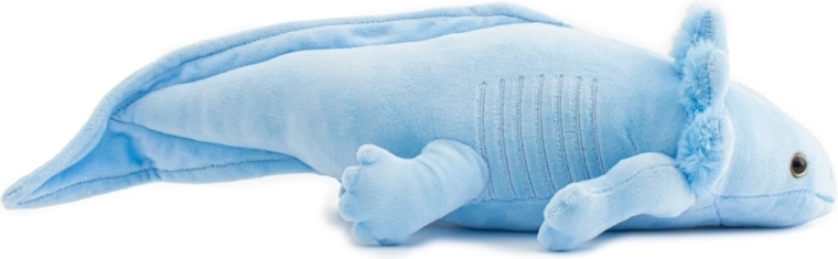 Dettagli realistici dell’axolotl