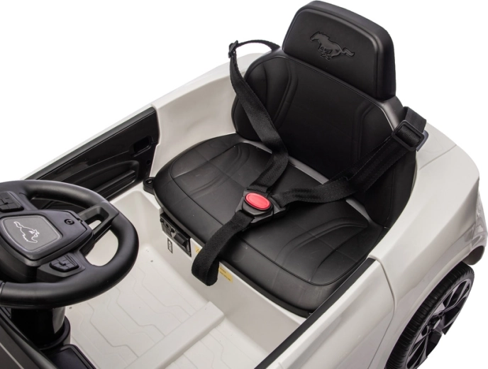 Sedile sicuro con cintura