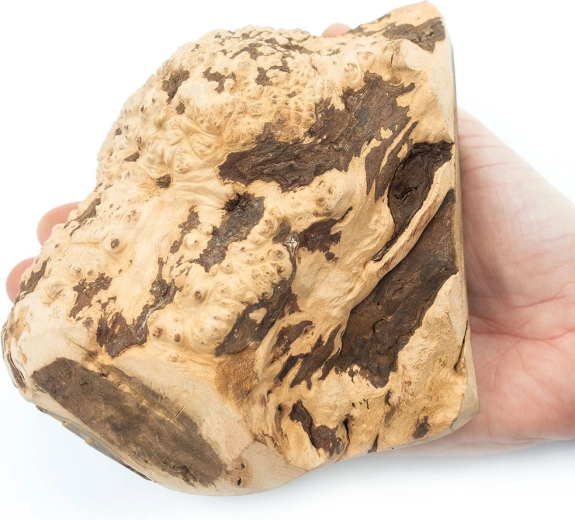 Pezzo unico da fonti sostenibili