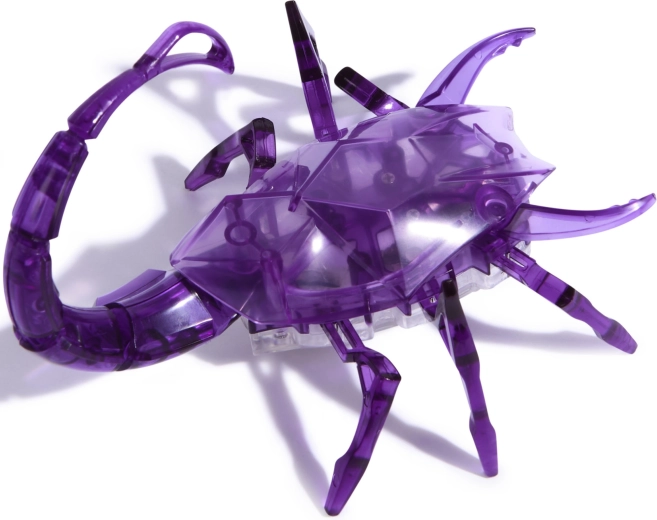 Coda luminosa per uno spettacolo ancora maggiore