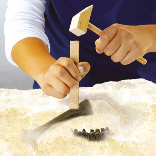 Scavo come un vero paleontologo