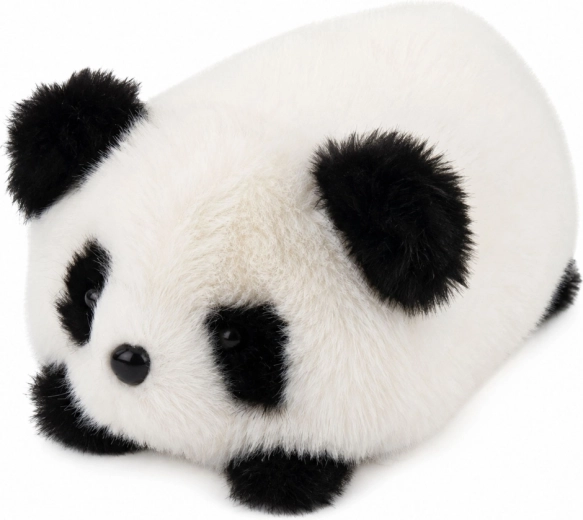Tipico aspetto da panda con dettagli adorabili