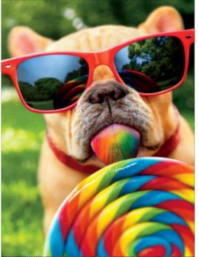 Pittura con diamanti – cane con gli occhiali 30 × 40 cm