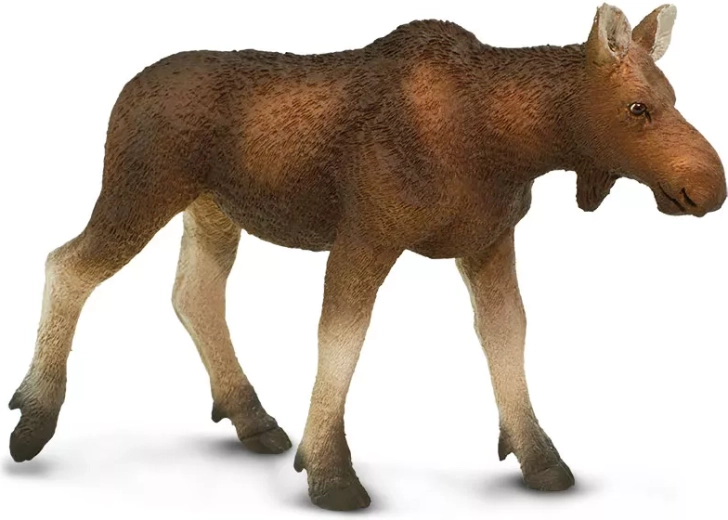 Safari Ltd. figurina di femmina di alce europeo - 1 pezzo