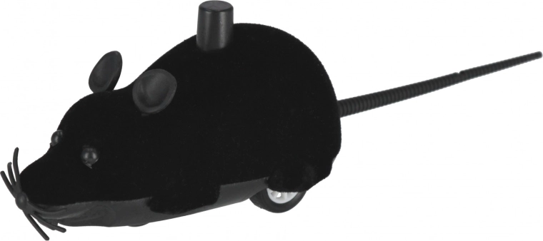 Divertimento in diversi colori