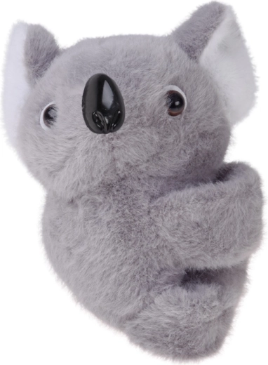 Koala morbida e simpatica