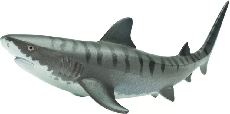 Safari Ltd. figurina di squalo tigre - 1 pezzo
