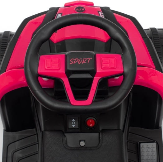 Comandi realistici e cruscotto