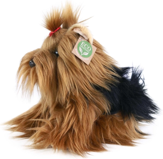 Morbido Yorkshire terrier
